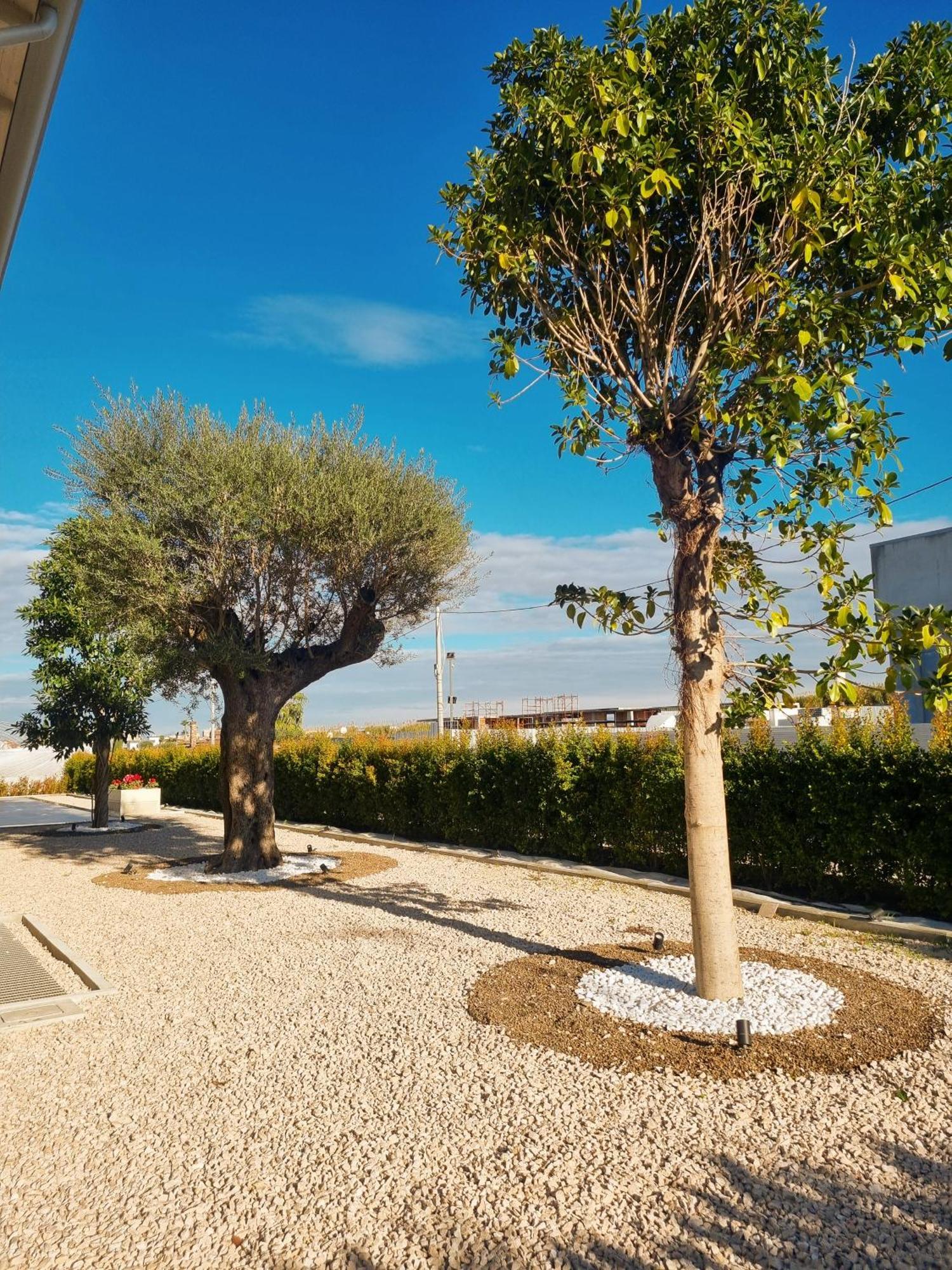 Ro Agrimaison Volla  Exterior photo